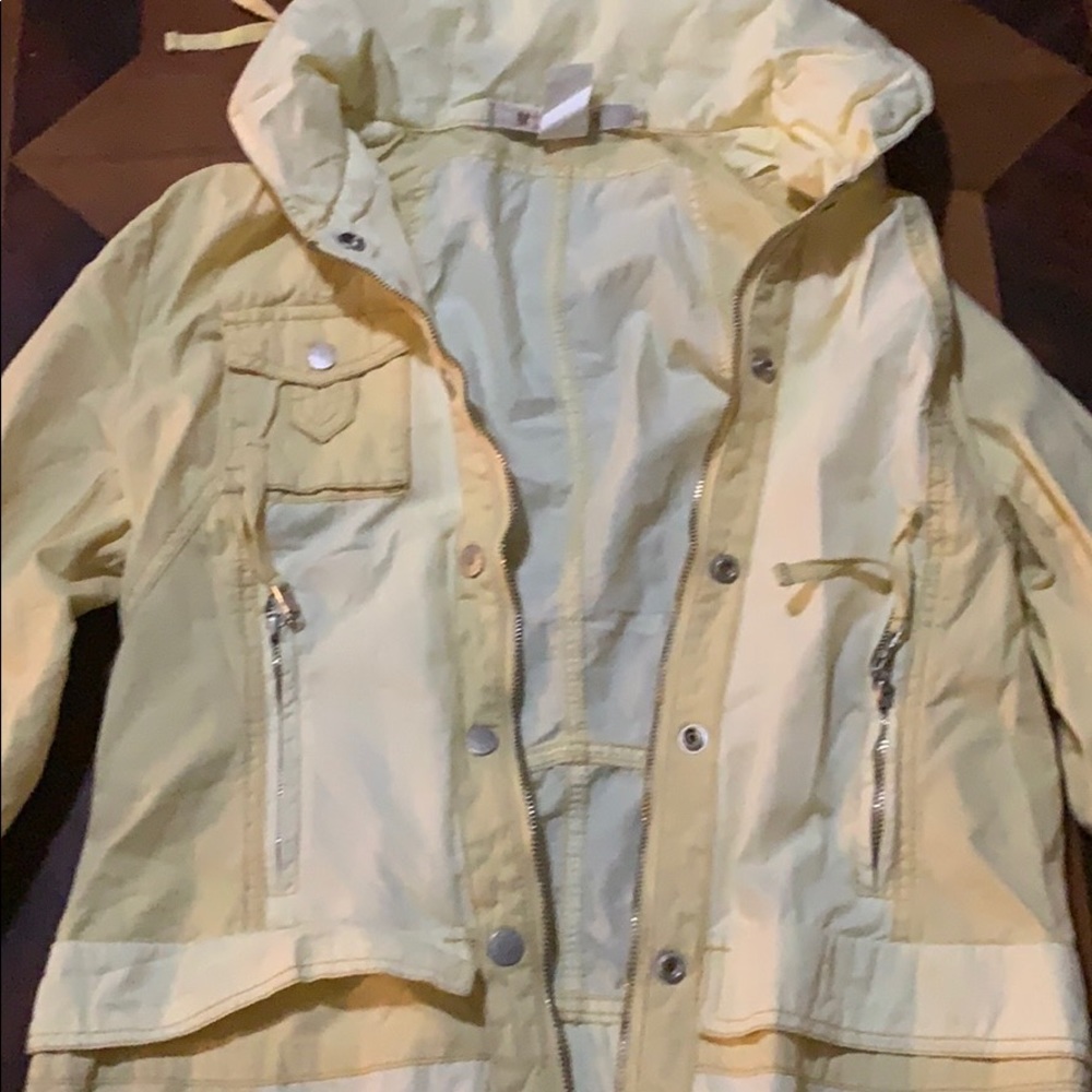 Yellow jacket - Picture 2 of 3